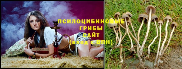 соль ск Лабытнанги