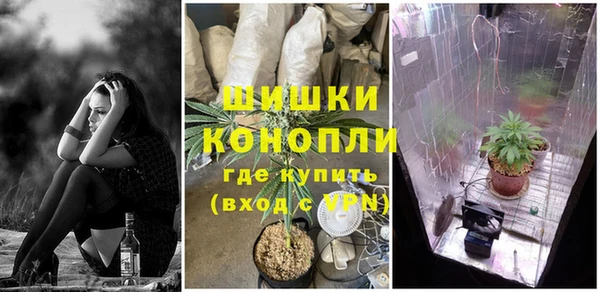 соль ск Лабытнанги
