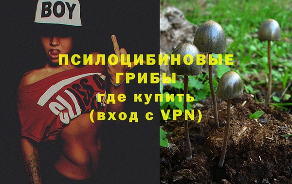 герыч Ладушкин