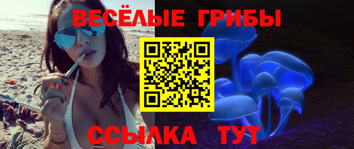 Галлюциногенные грибы прущие грибы  Вход с VPN  Псилоцибиновые грибы мицелий  Новоуральск 